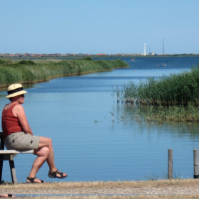 Vandre om Nissum Fjord